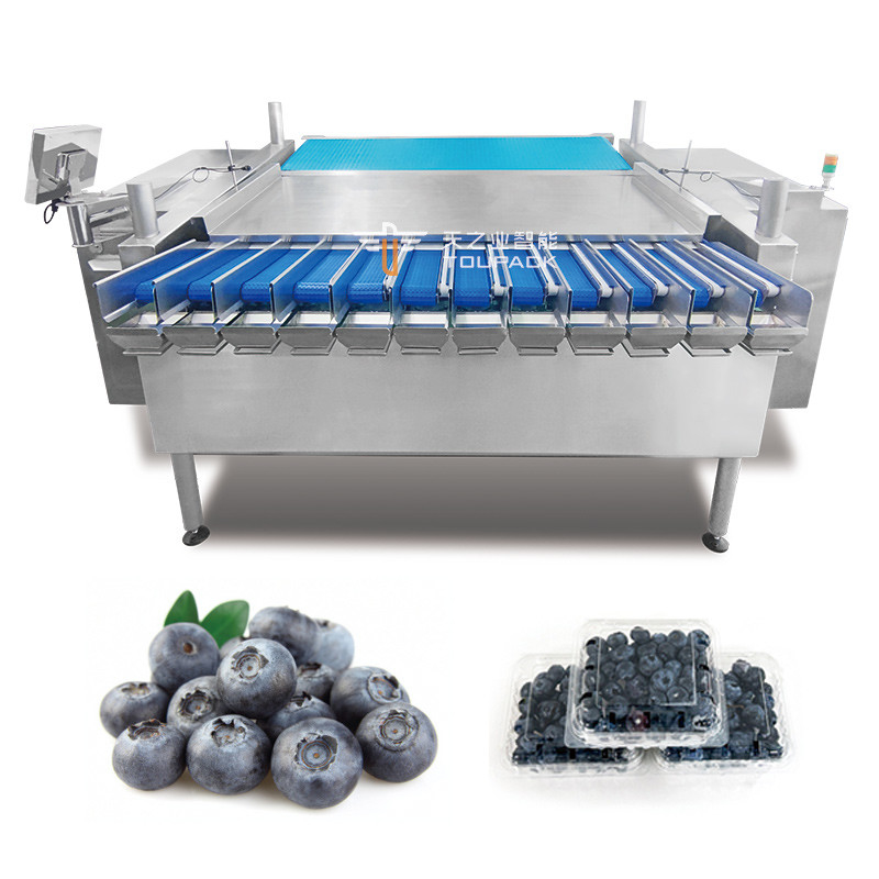 オートマティック パッションフルーツ キンクワット ウィンタージューブ プラスチックボックス 梱包機 ブラックベリー 計量 詰め込み 梱包ライン