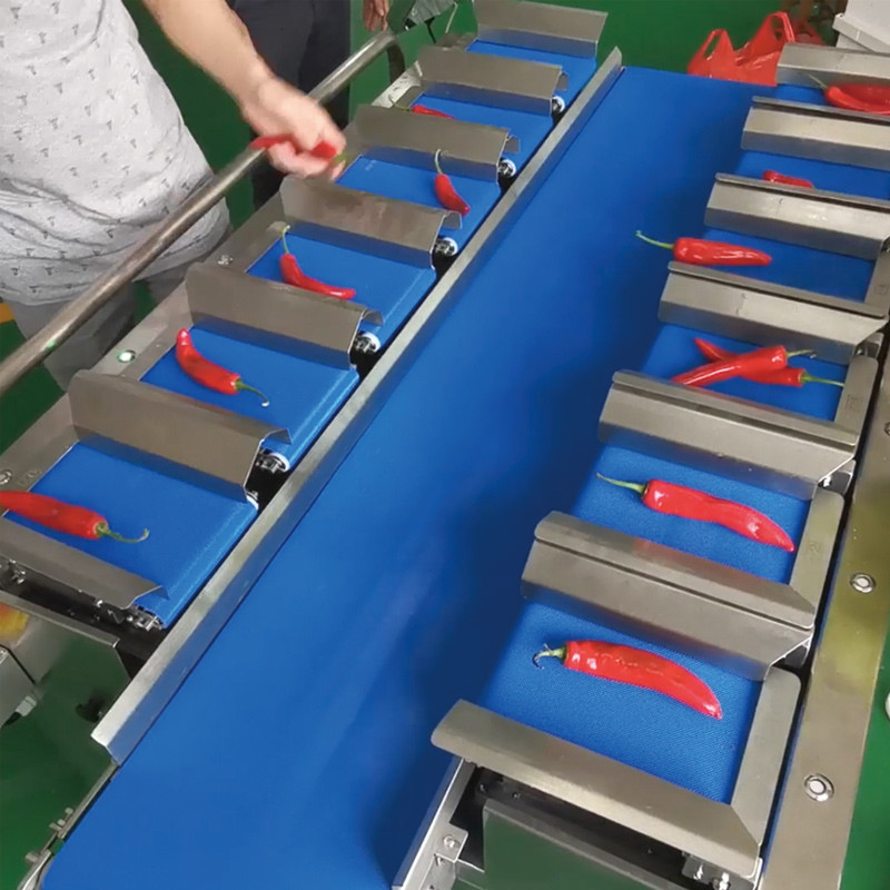 乾燥マンゴー 自動多ステーションベルトコンベヤー 水産 海黄瓜 魚 フィレット テーブルテーブル 目標 重量 対重量 機械