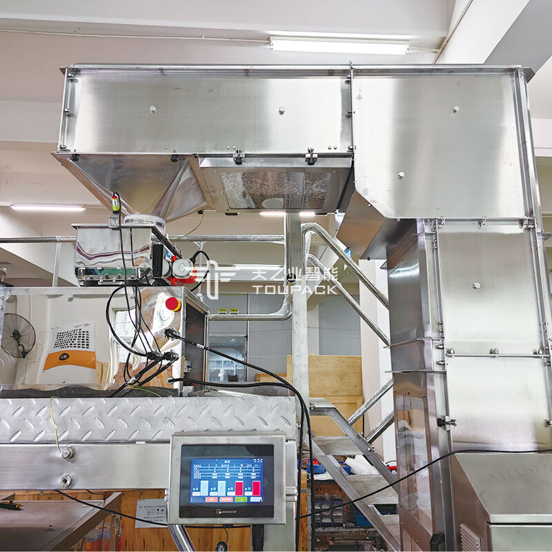 スパイスパウダー包装機 100g 200g 500g チリパウダー包装装置 粉末充填およびシール機