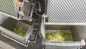自動野菜およびフルーツの皿のパッキング機械食糧軽食の多機能の包装機械