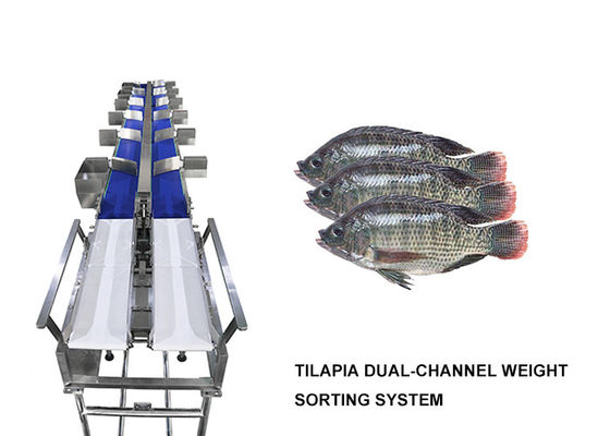 生鮮食品の魚/ソーセージ/卵黄のための12の等級のMultihweightの選別機機械を防水しなさい