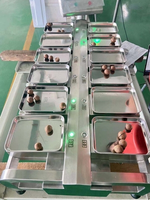 卓上の食糧組合せの計重機12の頭部の天秤ばかりのステンレス鋼304