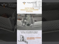 カスタム化のナツメヤシ箱のパッキング ライン微粒の充填機の自動生産の一貫作業