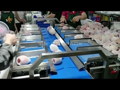 TOUPACK リンゴの重量を量る 12 ヘッド コンビネーション計量機、箱詰めラインとピロー包装機が付いています