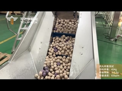 TOUPACK 冷凍肉丸の重みと包装システム