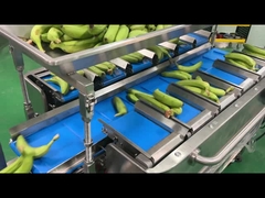 工場産業 半自動網網袋 計量 計数 切断 包装 包装 機械