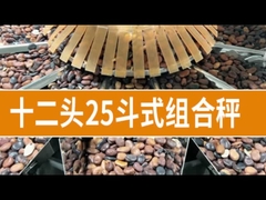 12 頭 マルチ ヘッド ウェジング マシン ナッツ キャンディー