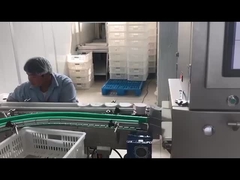 食品産業用自動電子X線検査機 X線検査システム