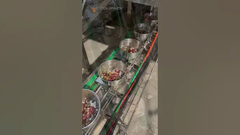 鳥類用ペットフード VFFS ナッツ 粒 凍結 乾燥した果物 乾燥した果物のパッケージングマシン