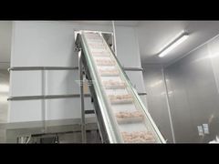 冷凍餃子ピーナッツ用の14ヘッド1.6L/2.5Lマルチヘッド計量機を紹介します。